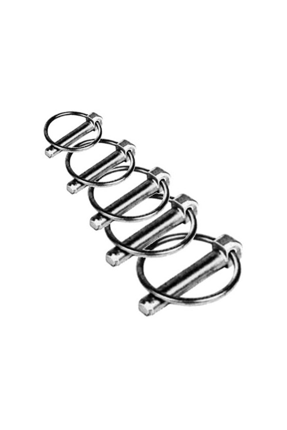 ASSORTIMENT 10 GOUPILLES CLIPS
